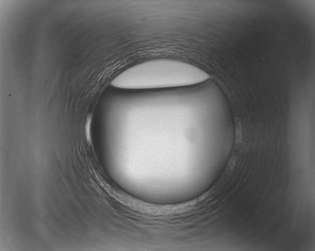 X0000086080047200703231101