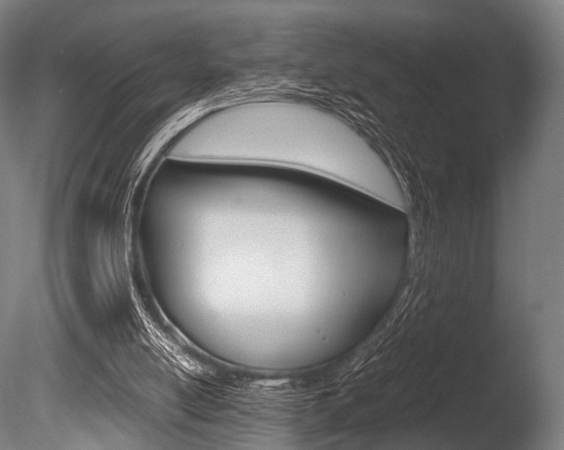 X0000086080054200703231100