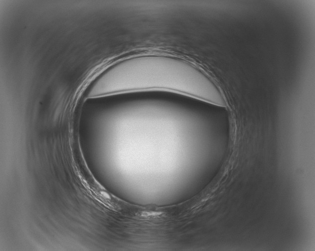 X0000086080055200703231100