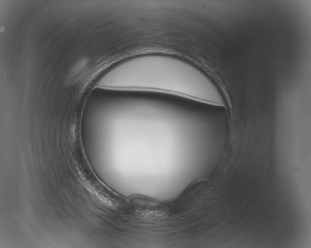 X0000086080063200703231100