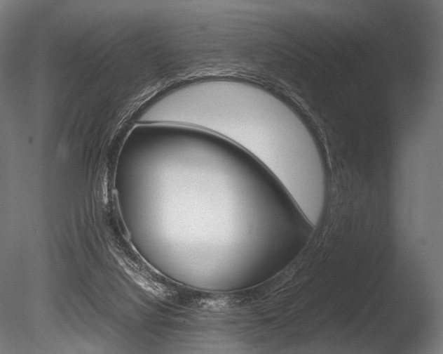 X0000086080068200703231101