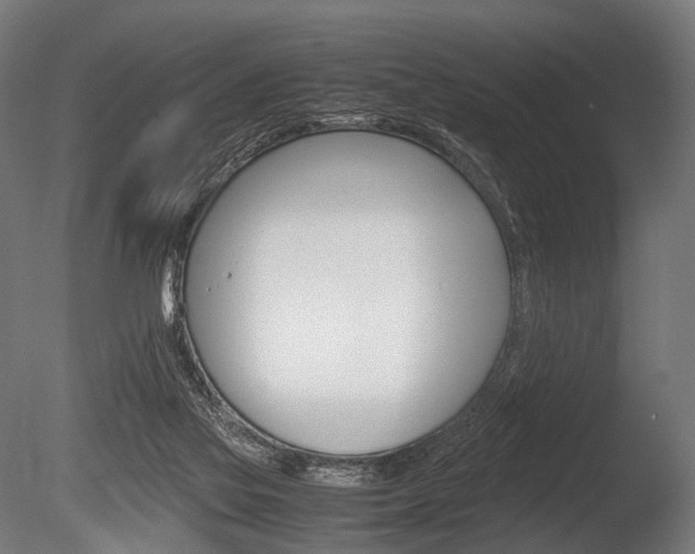 X0000086080069200703231101