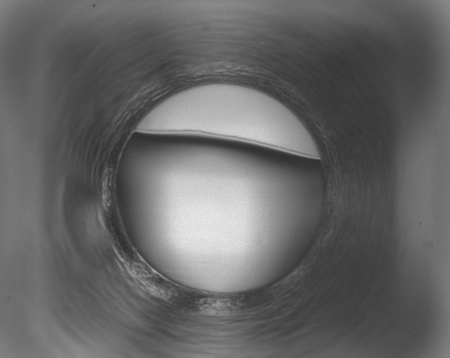 X0000086080074200703231101
