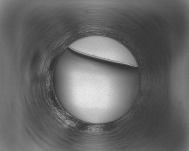 X0000086080078200703231101