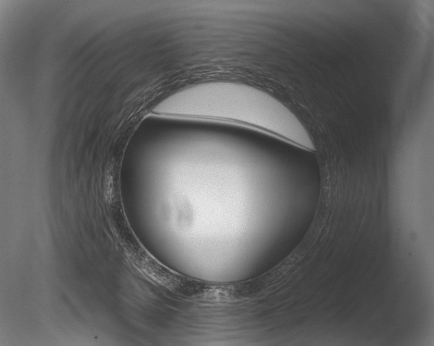 X0000086080080200703231101