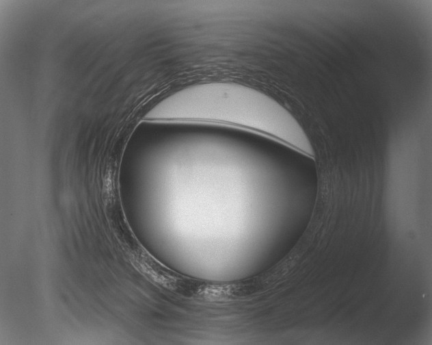 X0000086080084200703231101