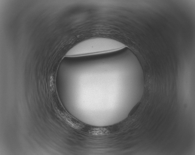 X0000086080087200703231101