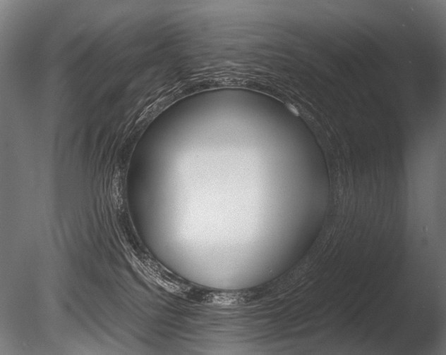 X0000086080088200703231101