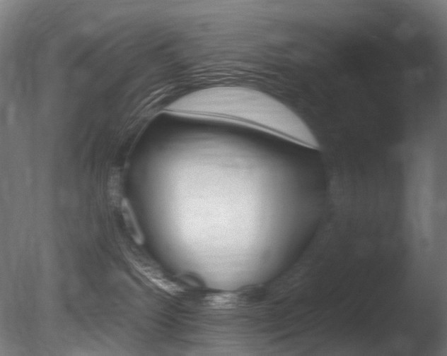 X0000086080092200703231101