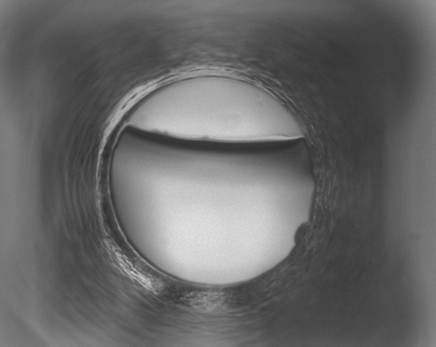 X0000086080104200703231100