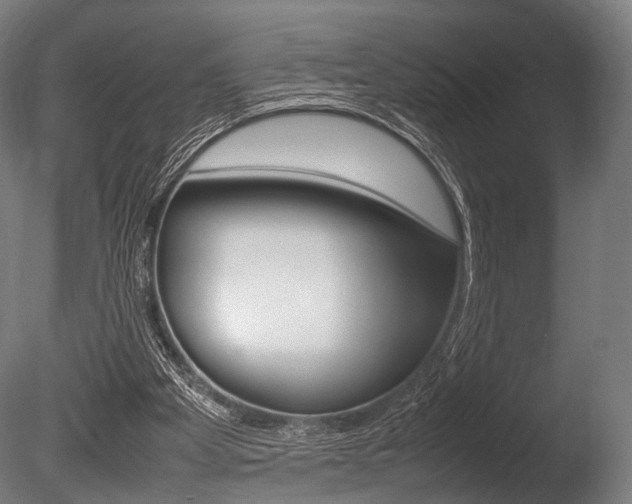 X0000086080105200703231100