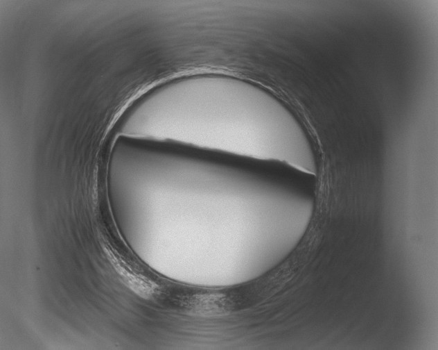 X0000086080108200703231100