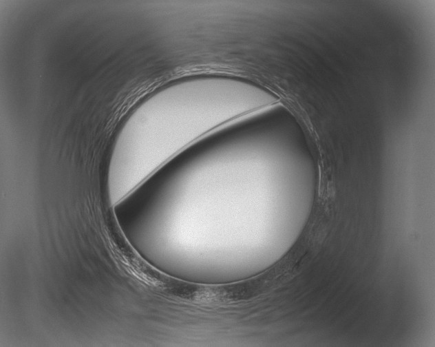 X0000086080109200703231100