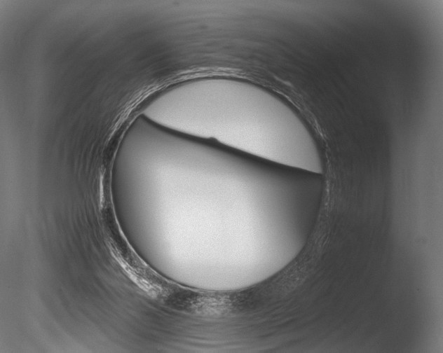 X0000086080110200703231100