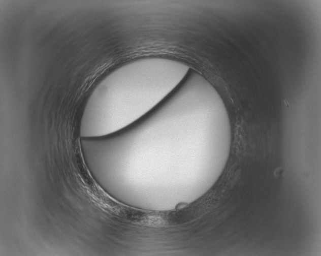 X0000086080114200703231100