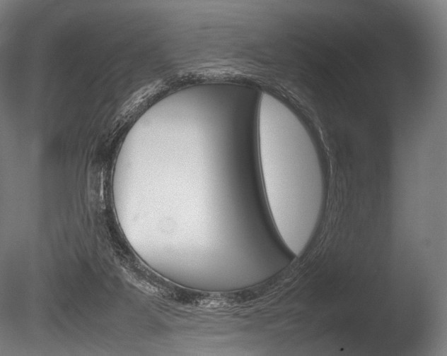 X0000086080115200703231100