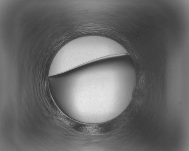 X0000086080121200703231100