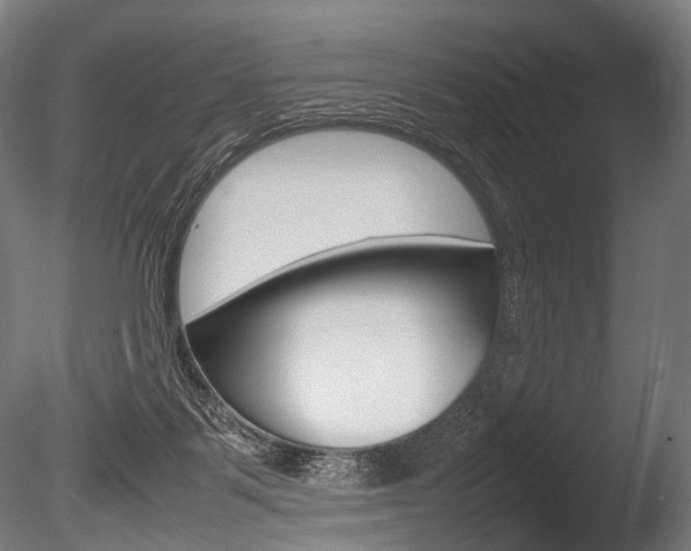 X0000086080123200703231100