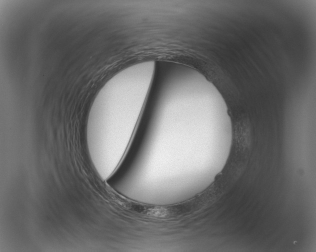 X0000086080127200703231100