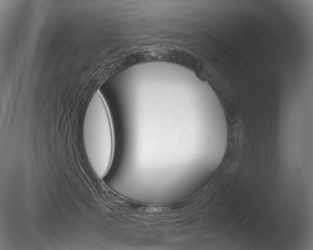 X0000086080129200703231100