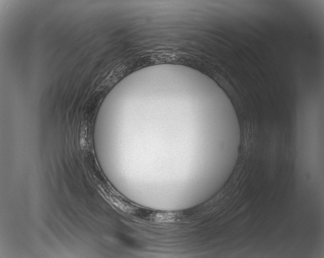 X0000086080134200703231100