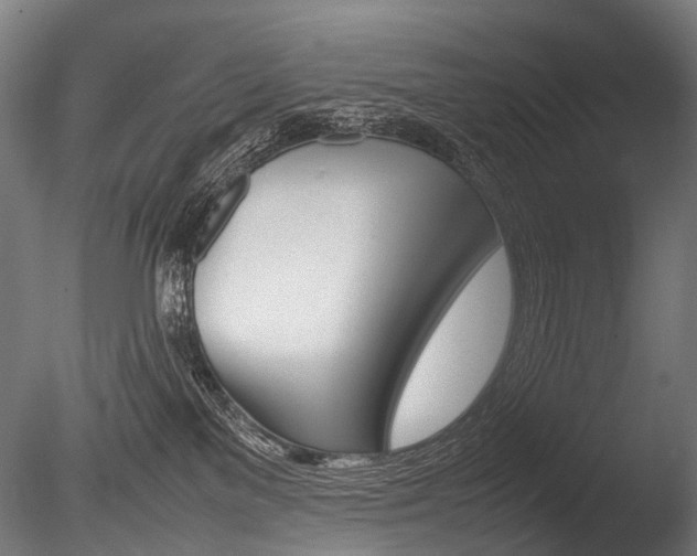 X0000086080137200703231100