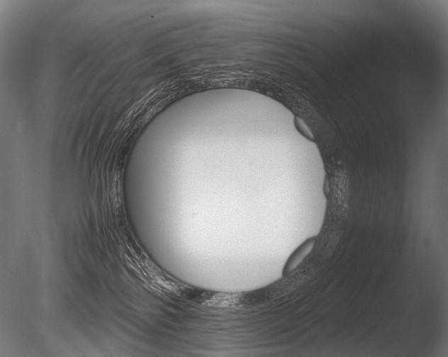 X0000086080138200703231100