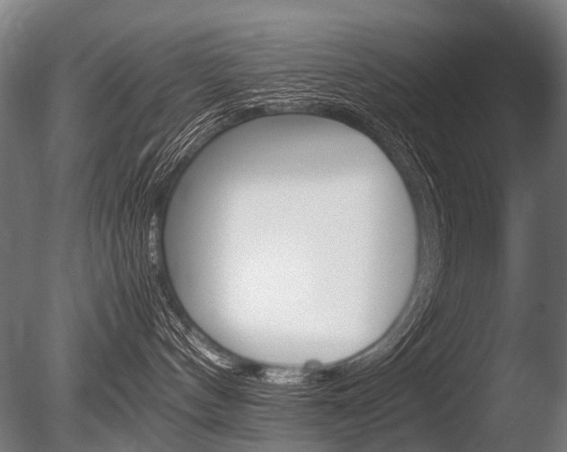 X0000086080144200703231059