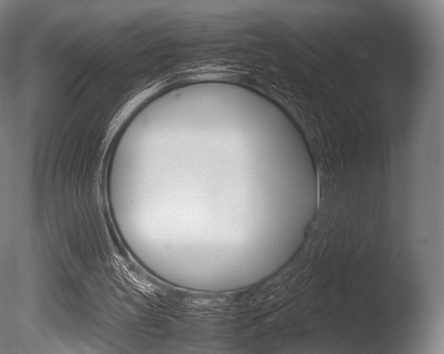 X0000086080147200703231059