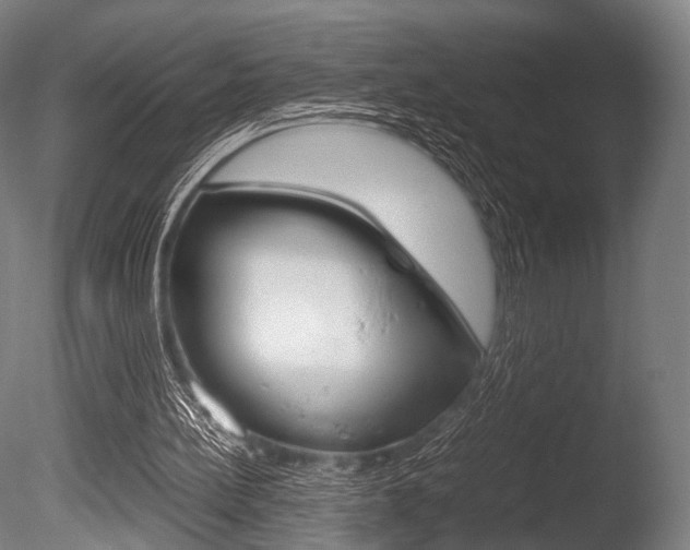 X0000086080148200703231059