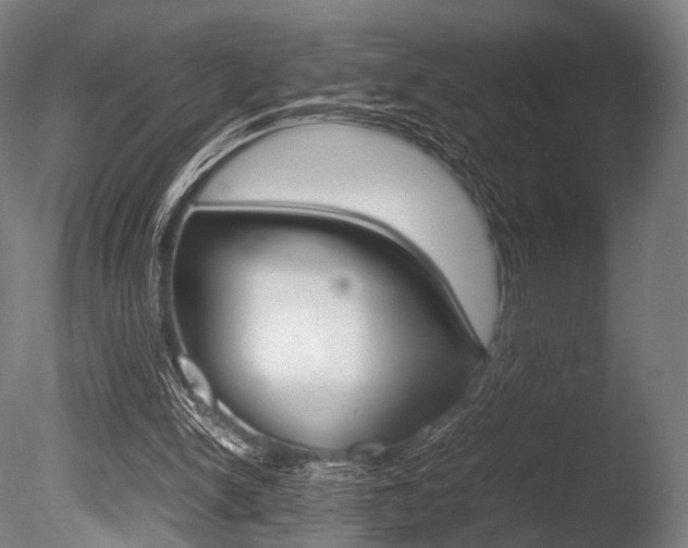 X0000086080150200703231059