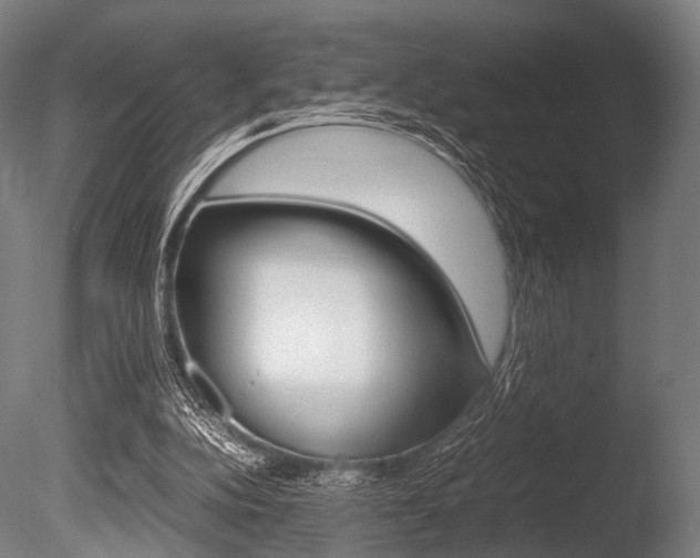 X0000086080152200703231059