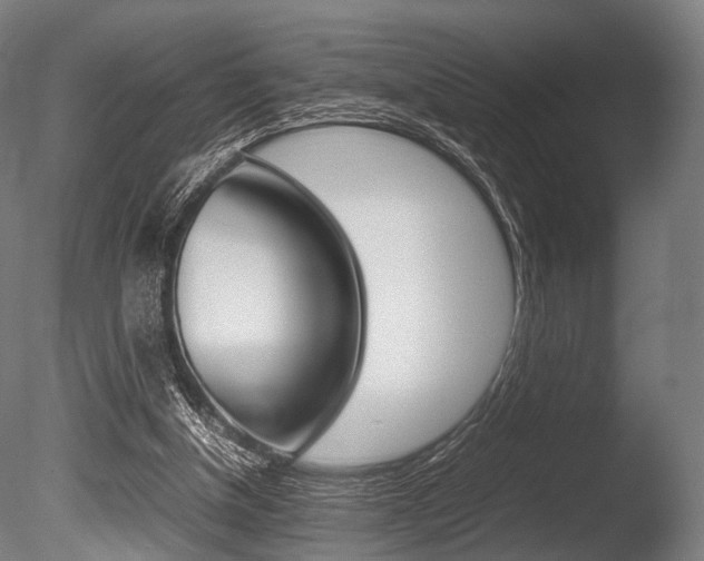 X0000086080154200703231059