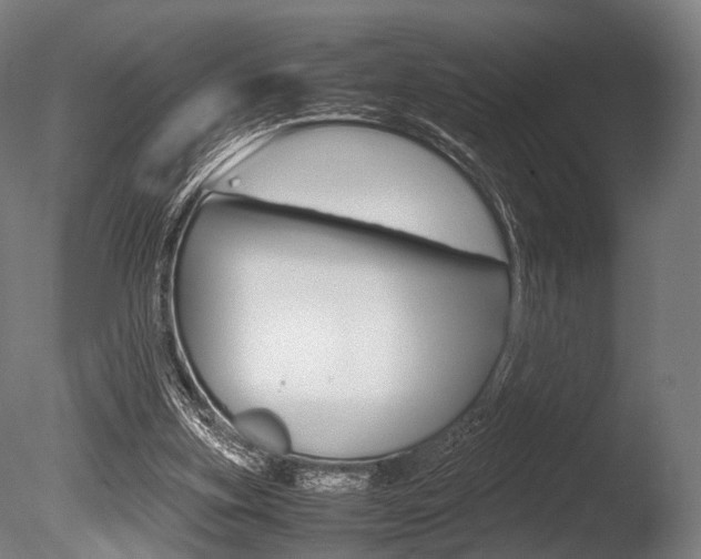 X0000086080155200703231059