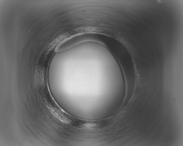 X0000086080158200703231059
