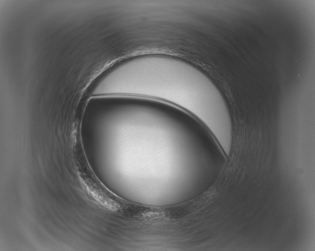 X0000086080160200703231059