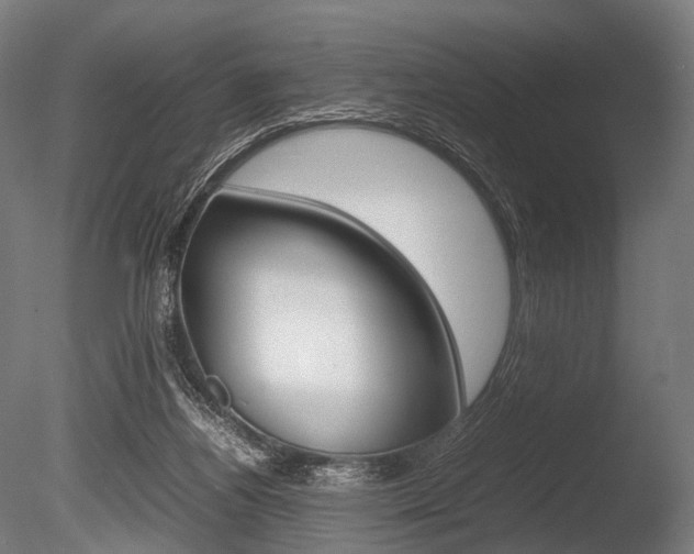 X0000086080164200703231059