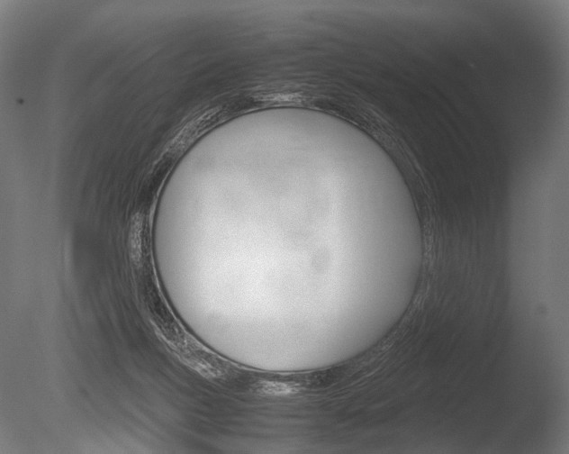 X0000086080167200703231059