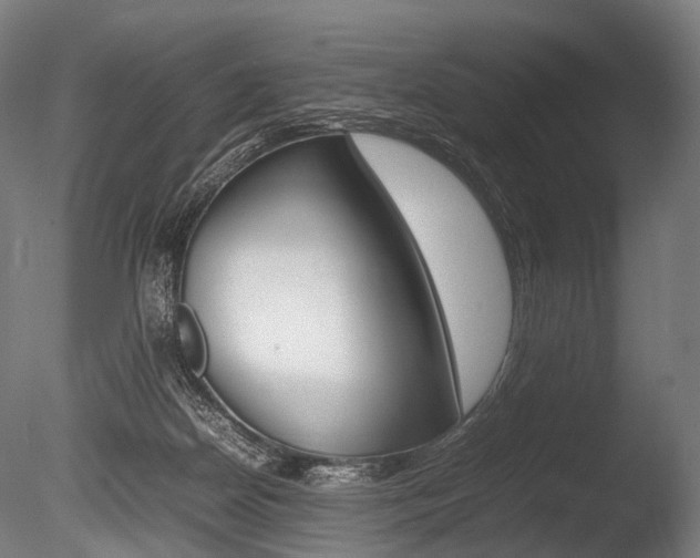 X0000086080170200703231059