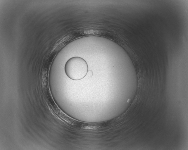 X0000086080171200703231059