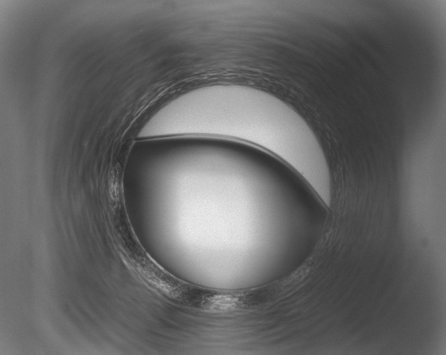 X0000086080176200703231059