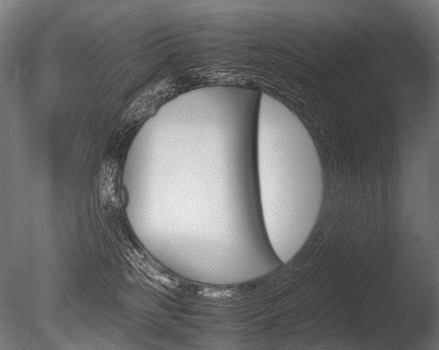 X0000086080185200703231059