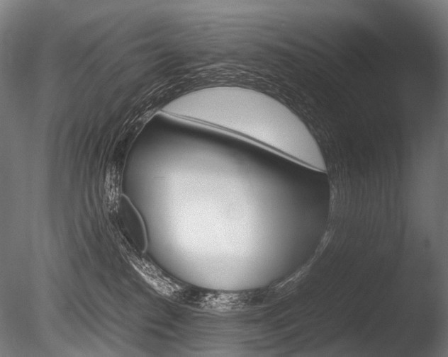X0000086080186200703231059