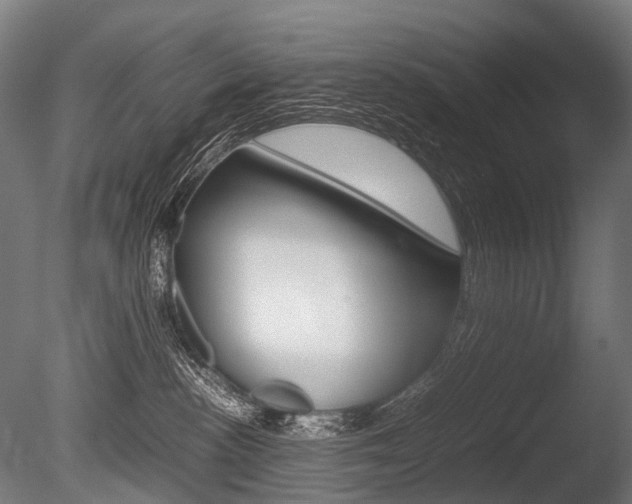 X0000086080188200703231059