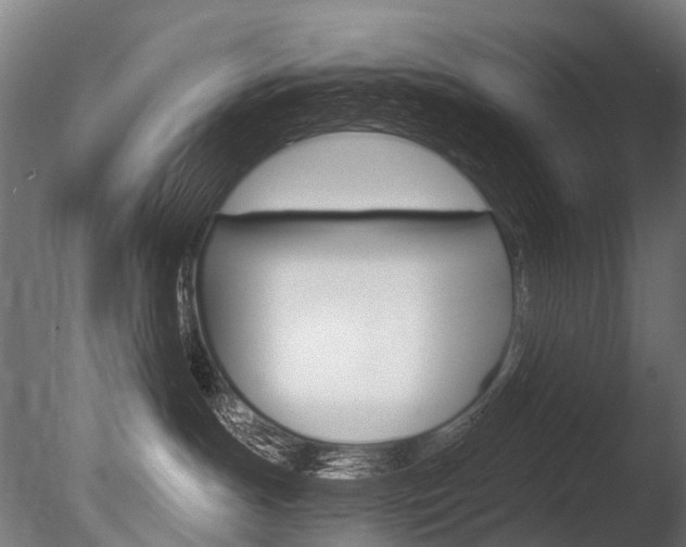 X0000086080191200703231059