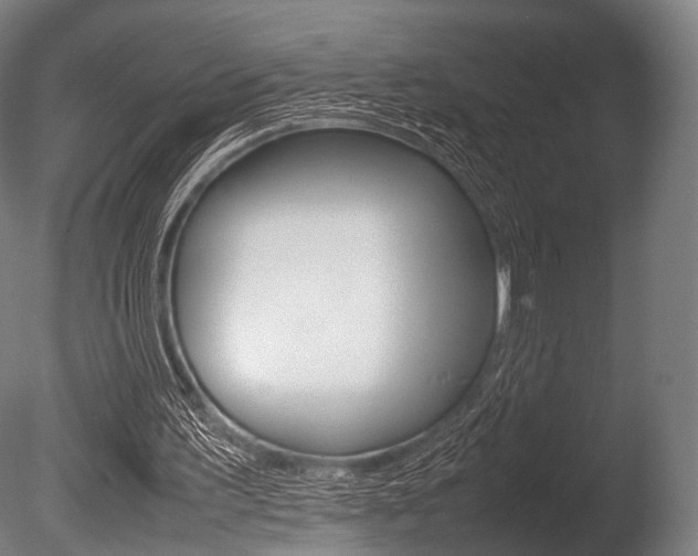 X0000086080195200703231059