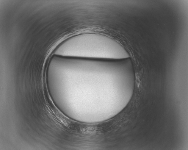 X0000086080196200703231059