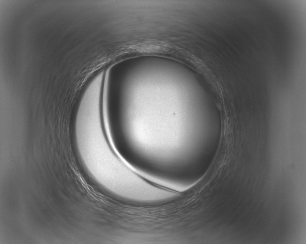 X0000086080201200703231058