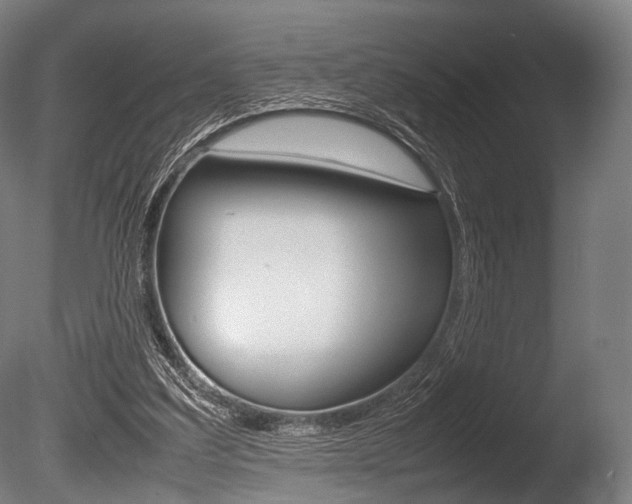 X0000086080203200703231058