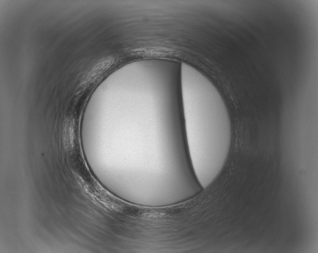 X0000086080206200703231058